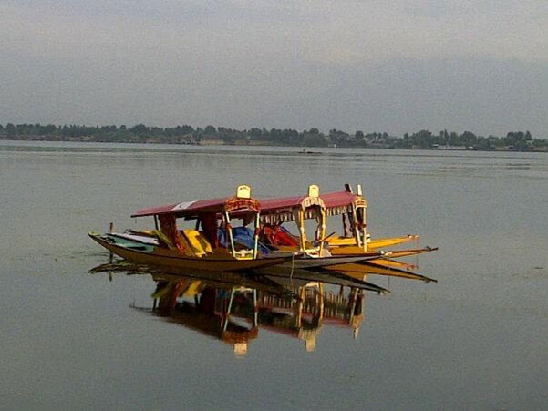TET 1033